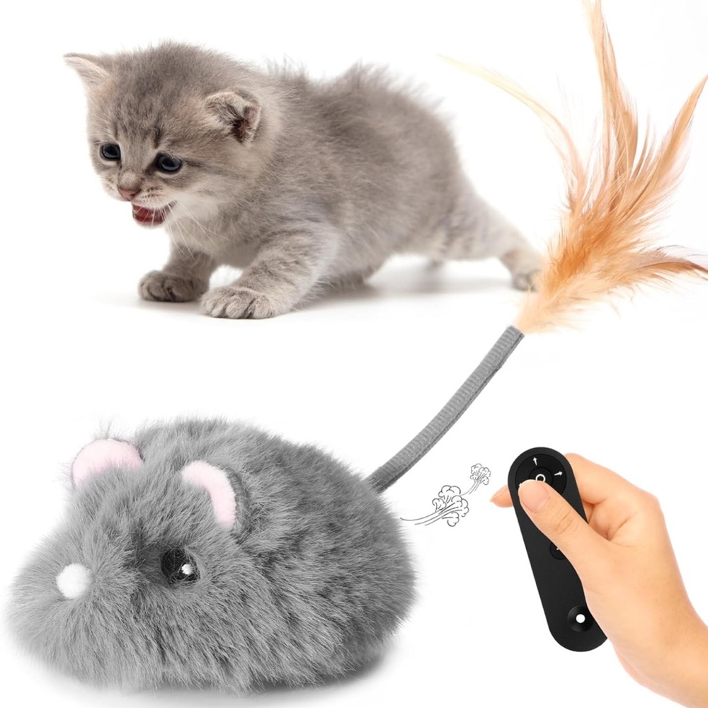 Remote Control Cat Toy